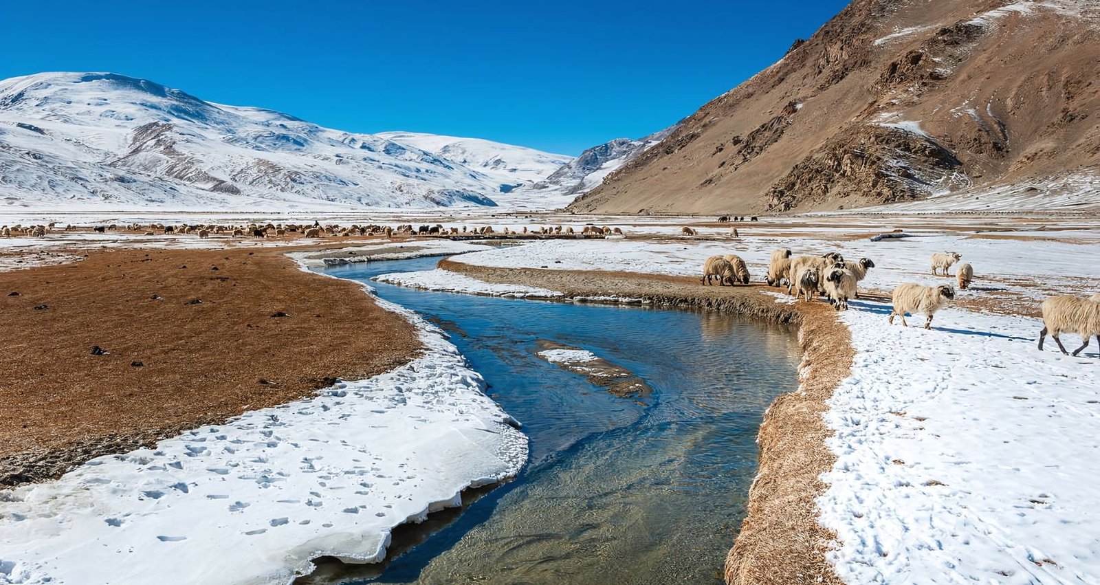 Top Most Beautiful Best Places To Visit With Your Best Friend Best trip places