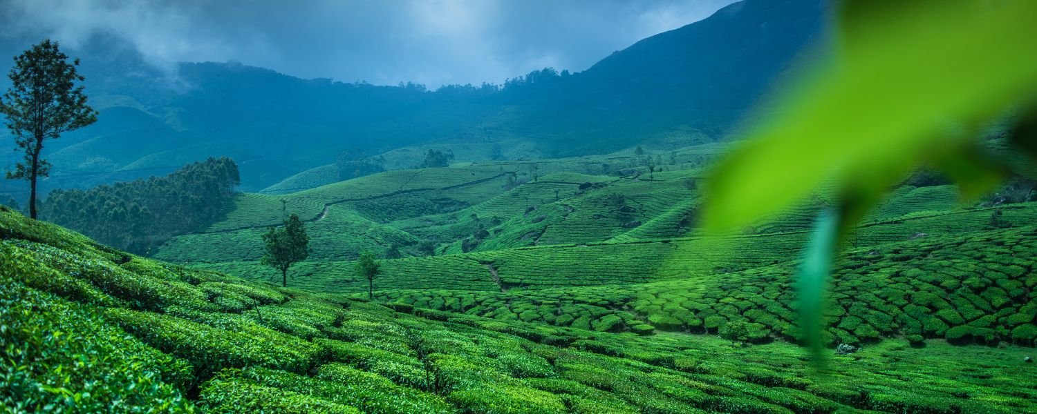 Munnar