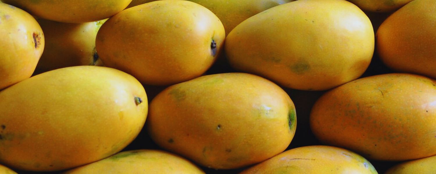 Fazli, Varieties of Mangoes