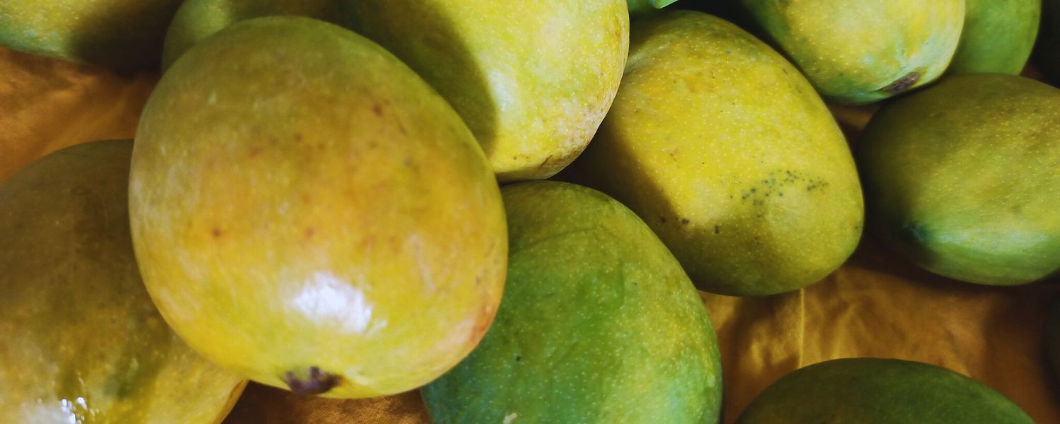 Benishan, Varieties of Mangoes