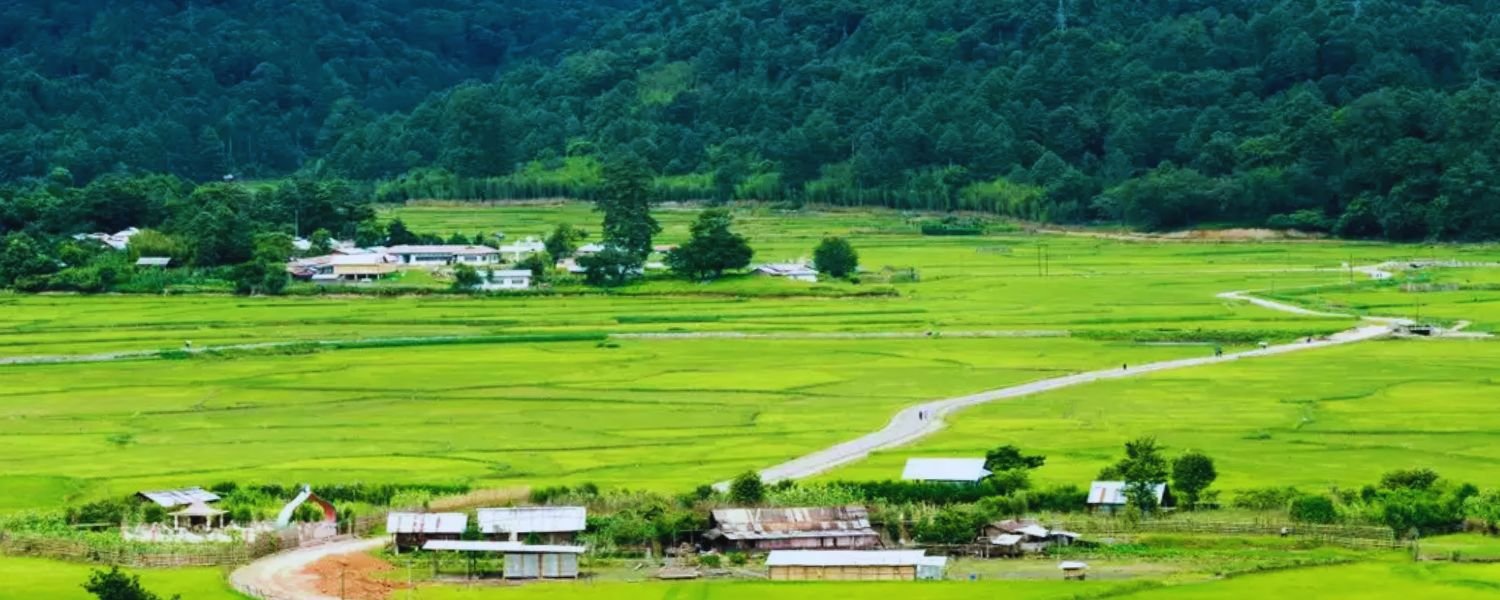 Ziro Valley