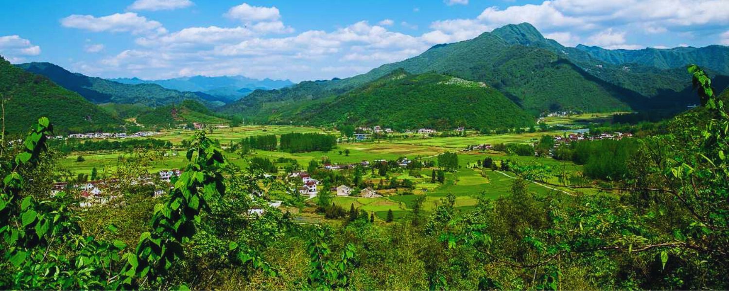 Majestic Peaks of Yingkiong, Arunachal Pradesh - Embrace Nature's Beauty!