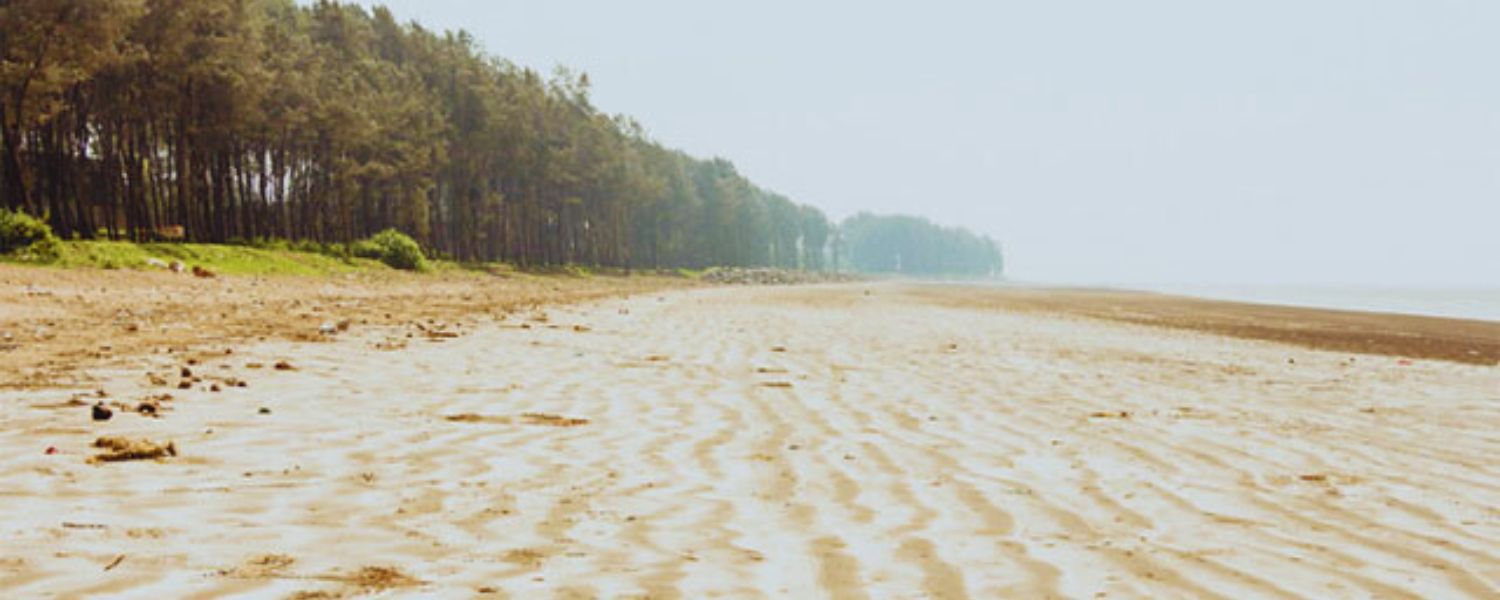A serene view of Umargam Beach, where the golden sands meet the tranquil sea.