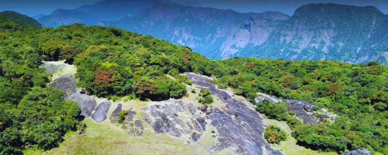 kerala's Mountain Retreats, Kerala's Serene Altitudes, Mountains in Kerala Beauty, Elevated Paradises in Kerala
