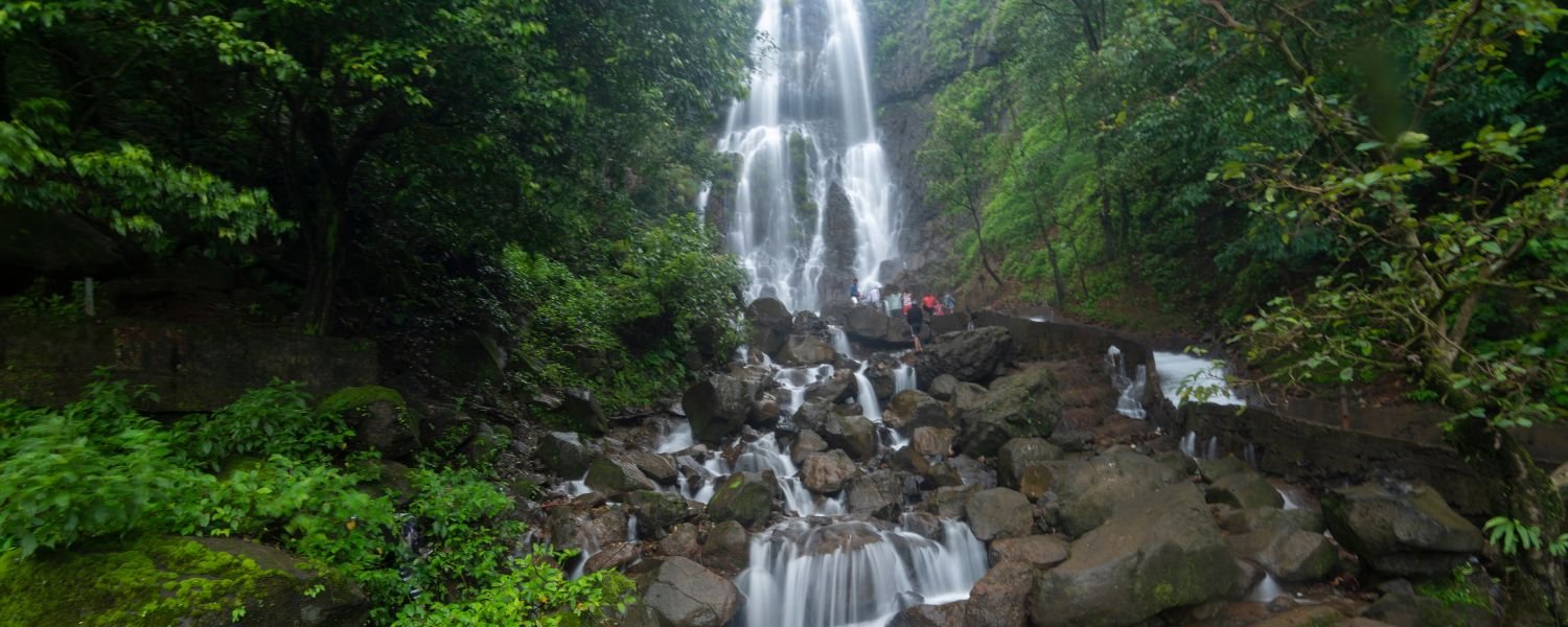 Maharashtra Waterfalls cascades, Maharashtra Waterfalls natural attractions, Maharashtra Waterfalls, Scenic falls of Maharashtra, Waterfalls of Maharashtra