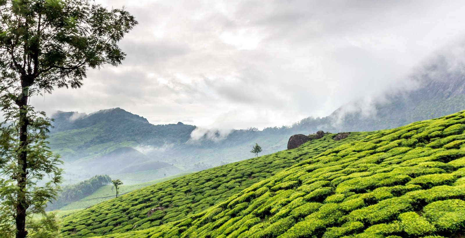 Top 10 Places to Visit in Munnar