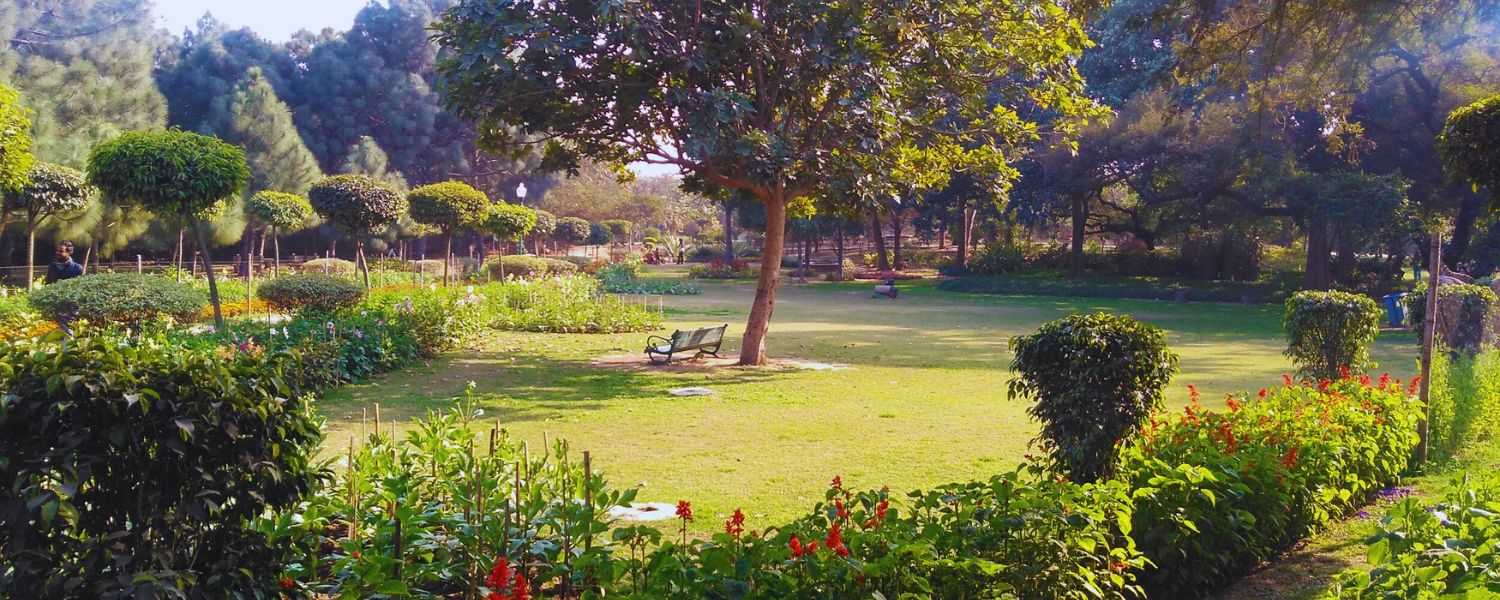 praks in Delhi, Delhi's beautiful parks,scenic park in Delhi, Delhi's iconic parks