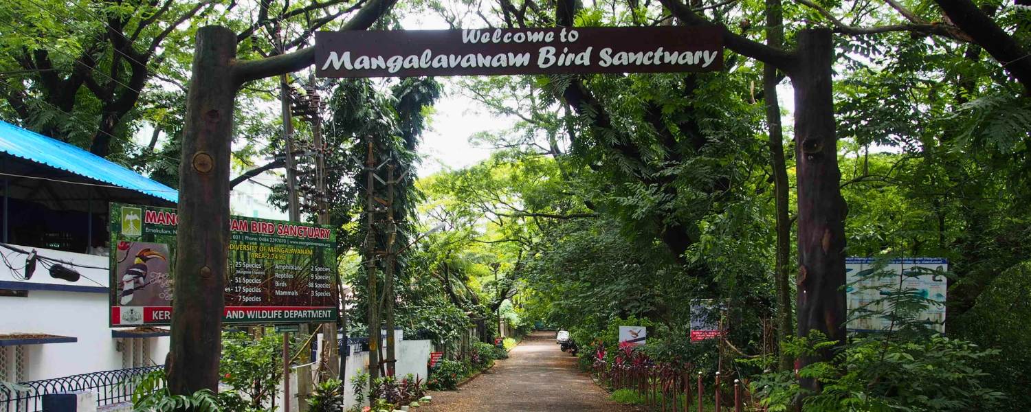 Mangalavanam Bird Sanctuary Nature's Haven