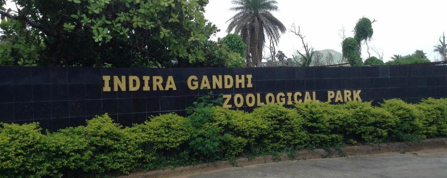 Indira Gandhi Zoological Park: Faunal Extravaganza in Vizag Tourist Spots