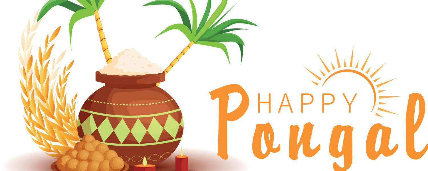 Pongal: Harvesting Happiness in the South