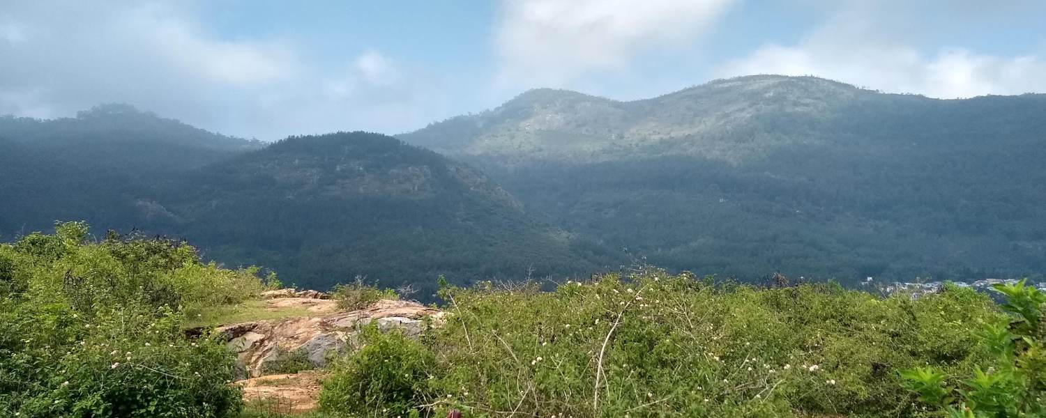 Yercaud, the Jewel of the South