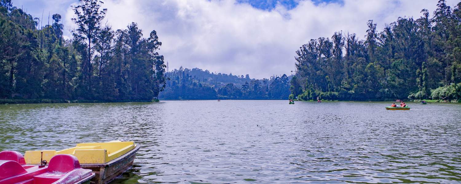 Upper Bhavani Lake, #OotyNatureExploration, #WesternGhatsWonders, #TranquilOoty, #BotanicalBeauty, #NatureLoversParadise
