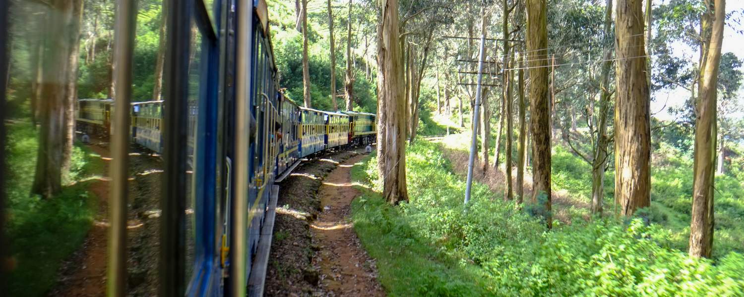 Nilgiri Mountain Railway, places to visit in ooty, #OotyNatureExploration, #WesternGhatsWonders, #TranquilOoty, #BotanicalBeauty, #NatureLoversParadise