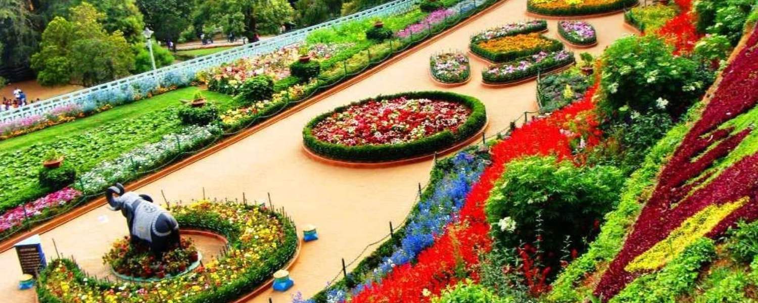 Rose Garden, places to visit in ooty, #OotyNatureExploration, #WesternGhatsWonders, #TranquilOoty, #BotanicalBeauty, #NatureLoversParadise
