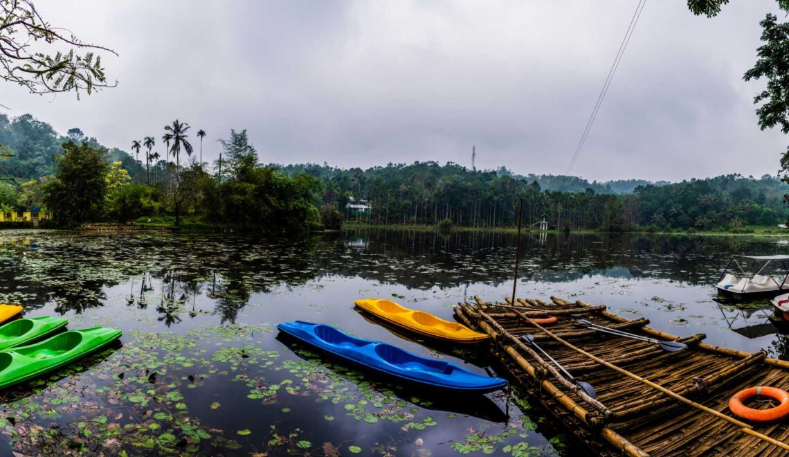 Your Guide to the Best Resorts in Wayanad