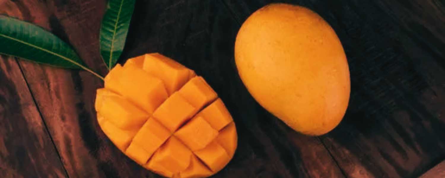 how many varieties of mango in india,
Varieties of mangoes in india with pictures,
Varieties of mangoes in india with names,
Varieties of mangoes in india with images,
Varieties of mangoes in india ,
Best varieties of mangoes in india,
top best mango in india