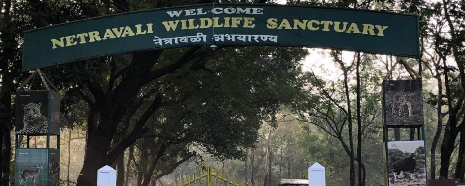 Netravali Wildlife Sanctuary