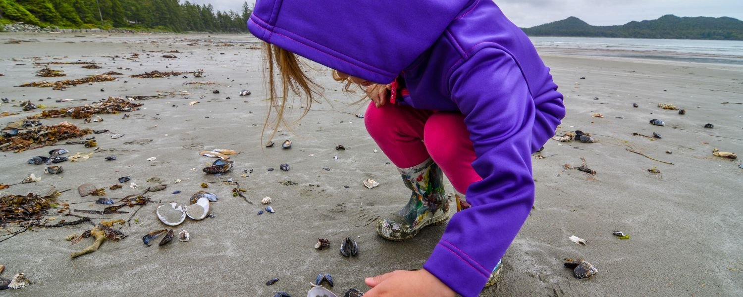 Beachcombing