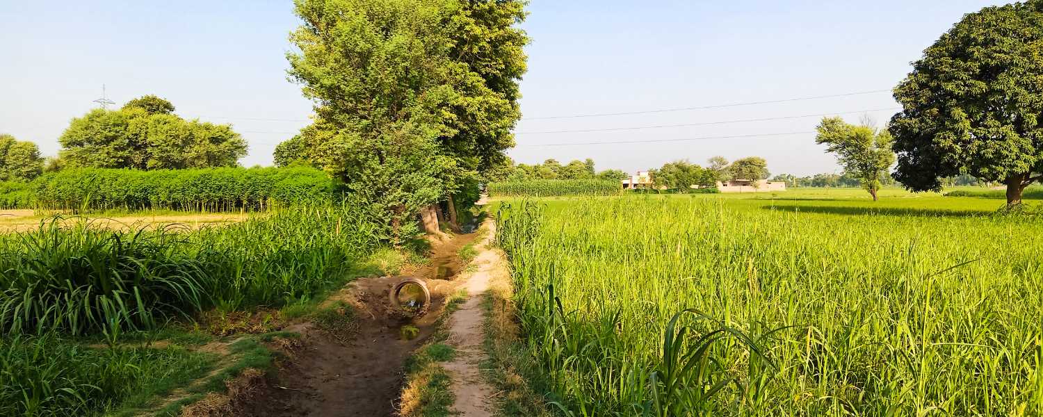  top most beautiful villages in punjab, most beautiful villages in punjab by area, top 10 biggest village in punjab, punjab village name list, top 5 biggest village in punjab, small village in punjab, punjab biggest village list