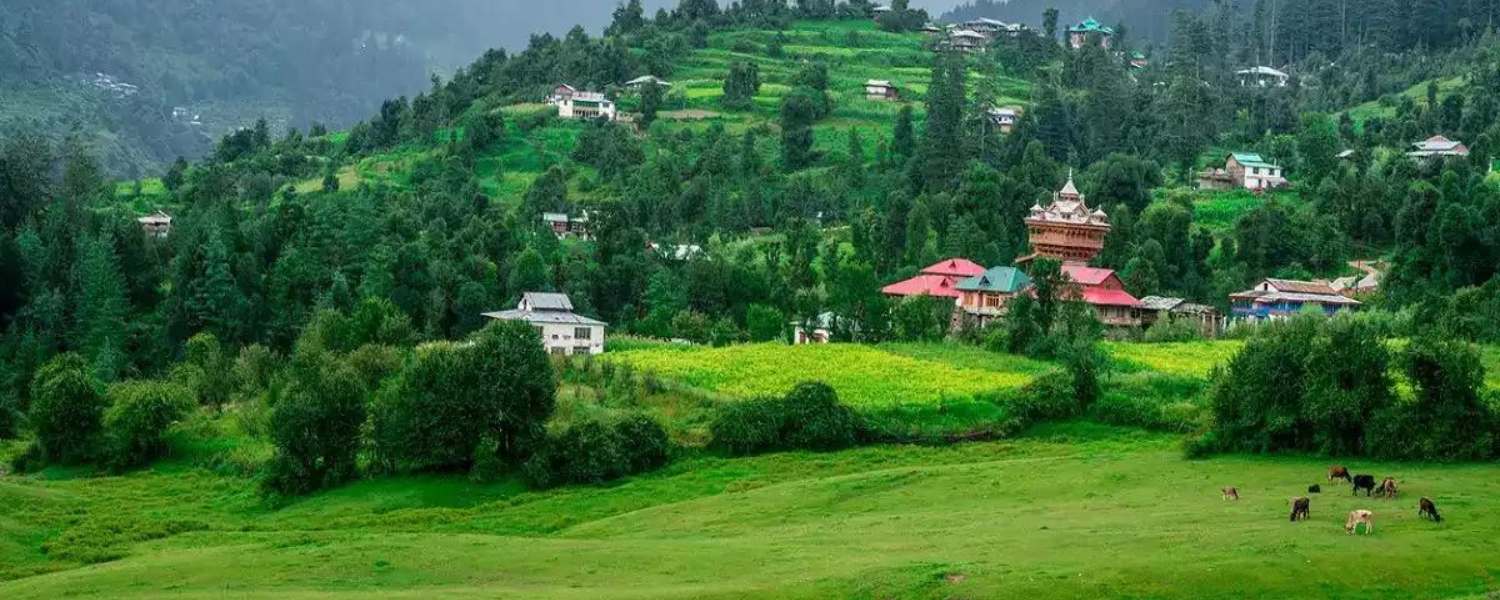 Morni hills panchkula, places to visit in morni hills, hotels in morni hills, morni hills resort, morni hills view, Morni hills panchkula distance 