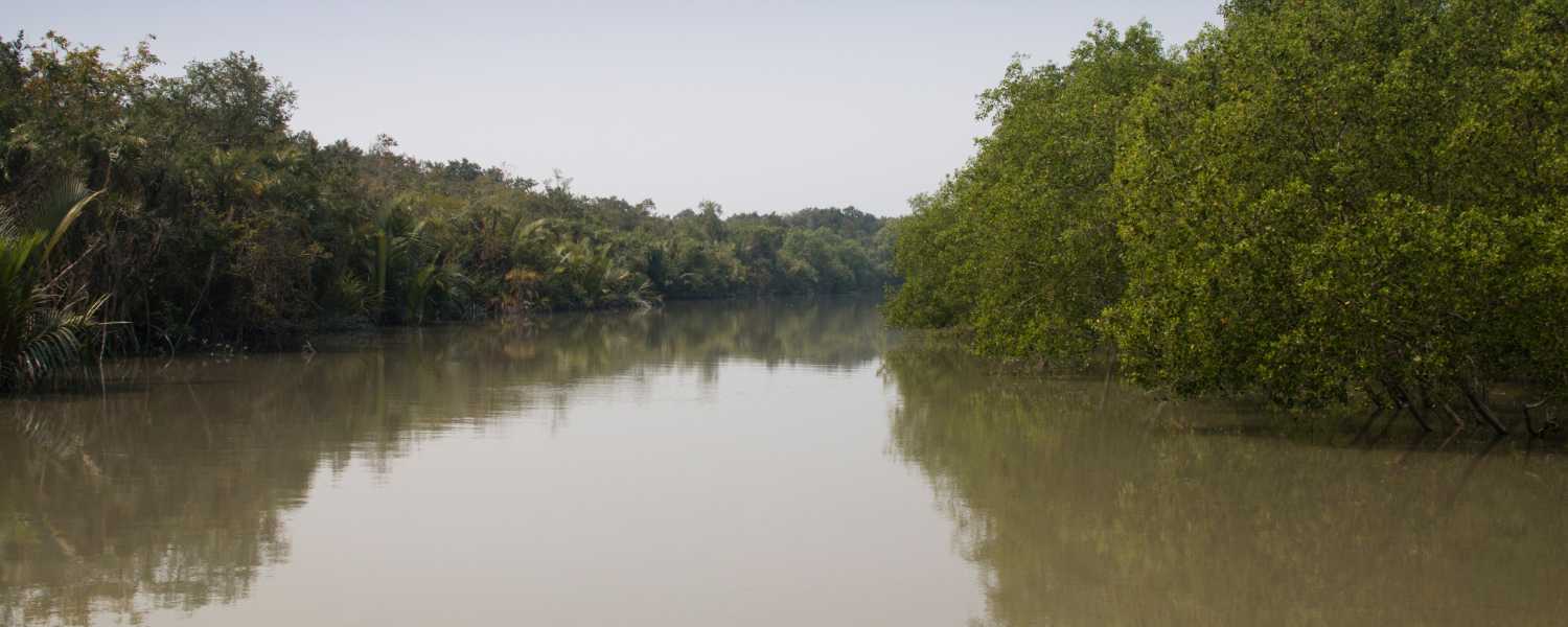 sundarbans national park is famous for which animal, sundarbans national park photos, sundarban national park is famous for, sundarbans national park location