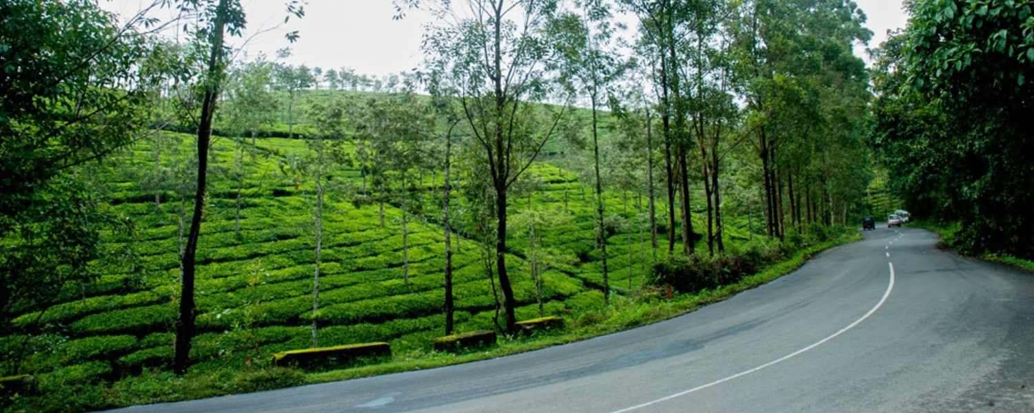 thekkady top 10 places, places to visit in thekkady, places to visit in thekkady with family, top 5 tourist places in thekkady, places to visit in thekkady in 2 days, Thekkady tourist places map, thekkady tourist places photos, things to do in thekkady
