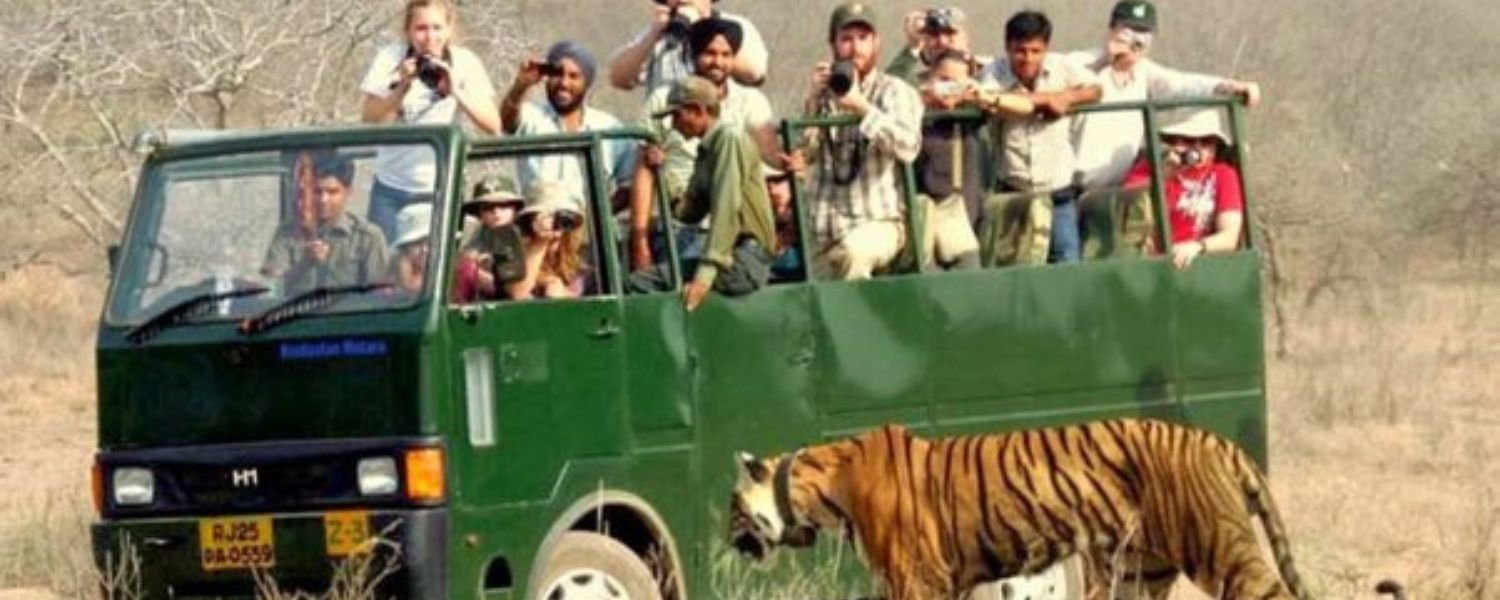 jim corbett wikipedia, jim corbett resorts, jim corbett safari booking, jim corbett hotels, jim corbett official website, jim corbett national park new name, delhi to jim corbett, jim corbett national park ticket price