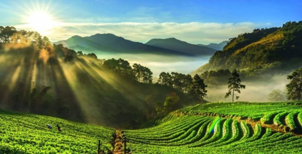 Coffee Estates and Places to Visit in Coorg