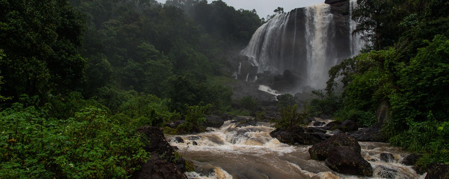 Munnar Waterfalls entry fee, thoovanam waterfalls, waterfalls in munnar, munnar waterfalls location, famous waterfalls in munnar, Munnar waterfalls distance, 