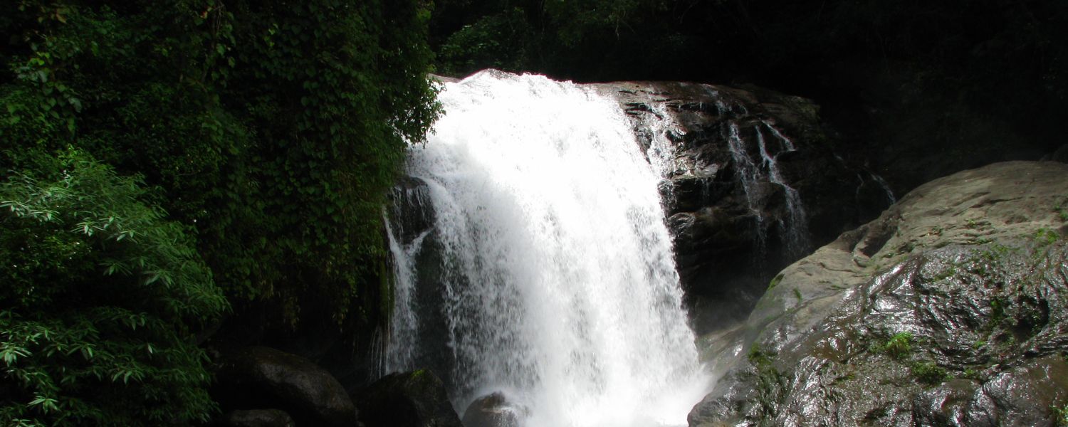 lakkam waterfalls munnar, lakkam waterfalls timings, Lakkam Waterfalls entry fee, lakkam waterfalls to Eravikulam national park, lakkam waterfalls munnar marayoor kerala, Lakkam Waterfalls opening time, 