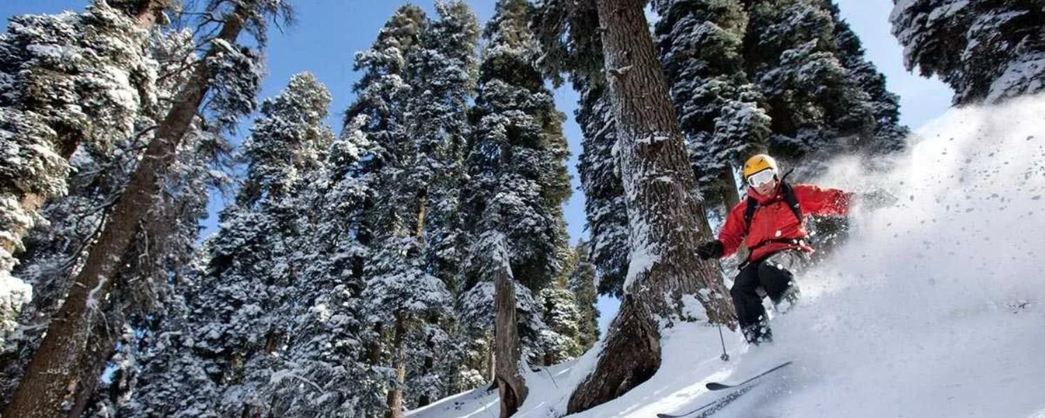 Skiing in Gulmarg price, Skiing in Gulmarg for beginners, Best skiing in Gulmarg, skiing in Gulmarg best time, Gulmarg skiing season, Skiing in Gulmarg packages, 