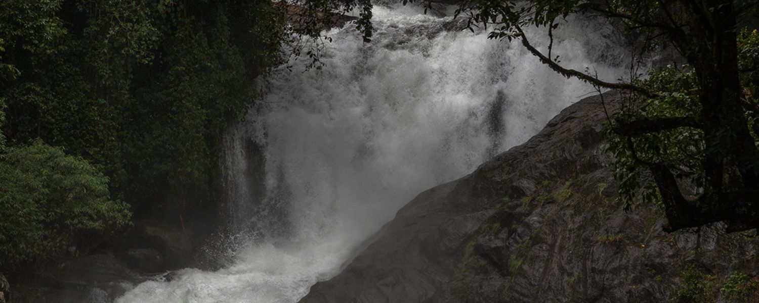 lakkam waterfalls munnar, lakkam waterfalls timings, Lakkam Waterfalls entry fee, lakkam waterfalls to Eravikulam national park, lakkam waterfalls munnar marayoor kerala, Lakkam Waterfalls opening time, 