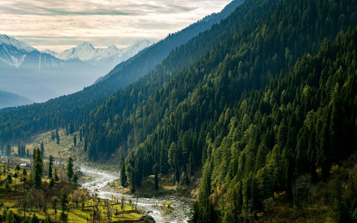Exciting Kashmir Vacation – Land Only