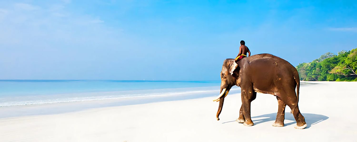 parasailing in havelock, parasailing in andaman price, Parasailing in andaman and nicobar islands, Best parasailing in andaman, parasailing in havelock price, Elephant Beach, Havelock Island