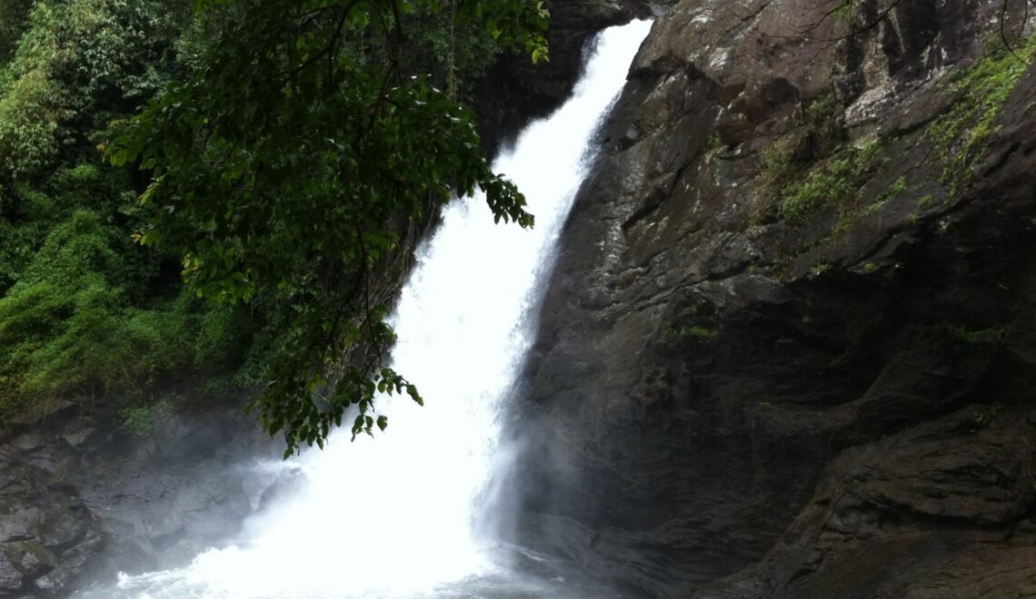 The Soojipara Waterfalls A Journey into Kerala's Wilderness