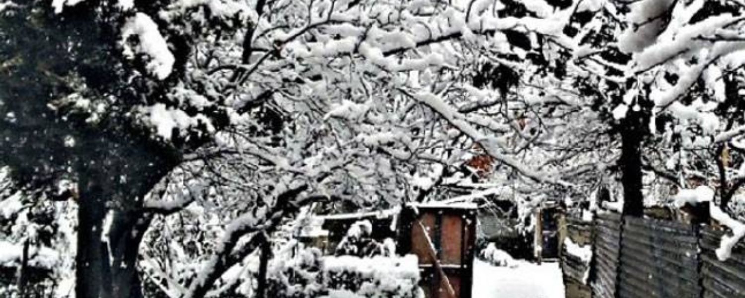 Exploring the Charm of Snowfall in Araku Valley, Weather Conditions, Best Time to Visit, Activities and Attractions During Snowfall, Tips for Planning Your Snowy Adventure, Personal Experiences , Sustainable Tourism and Environmental Impact,