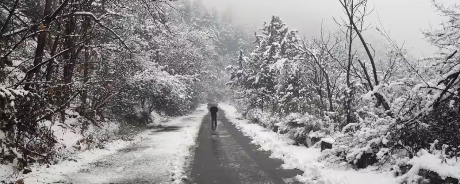 Exploring the Charm of Snowfall in Araku Valley, Weather Conditions, Best Time to Visit, Activities and Attractions During Snowfall, Tips for Planning Your Snowy Adventure, Personal Experiences , Sustainable Tourism and Environmental Impact, 