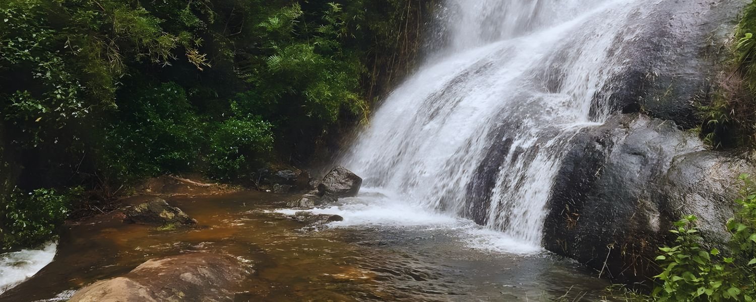 Bear Shola Waterfalls