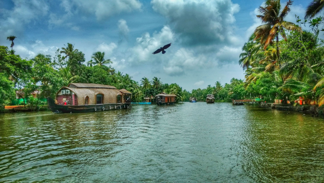 Freebie Inside – Kerala Paradise !