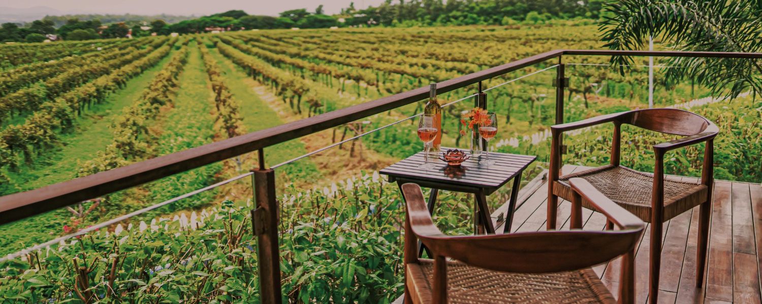 best vineyards in Bangalore, Sula vineyards in Bangalore, vineyards in Bangalore with stay, top vineyards in Bangalore,