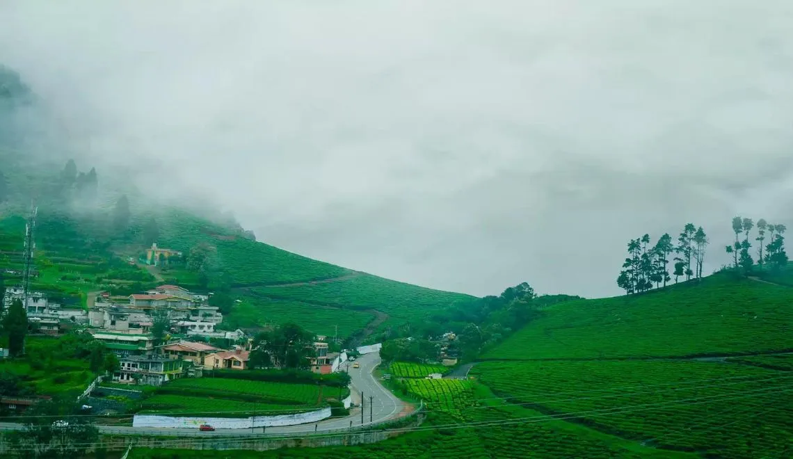 Top 19 Things to Do in Ooty for Nature Lovers