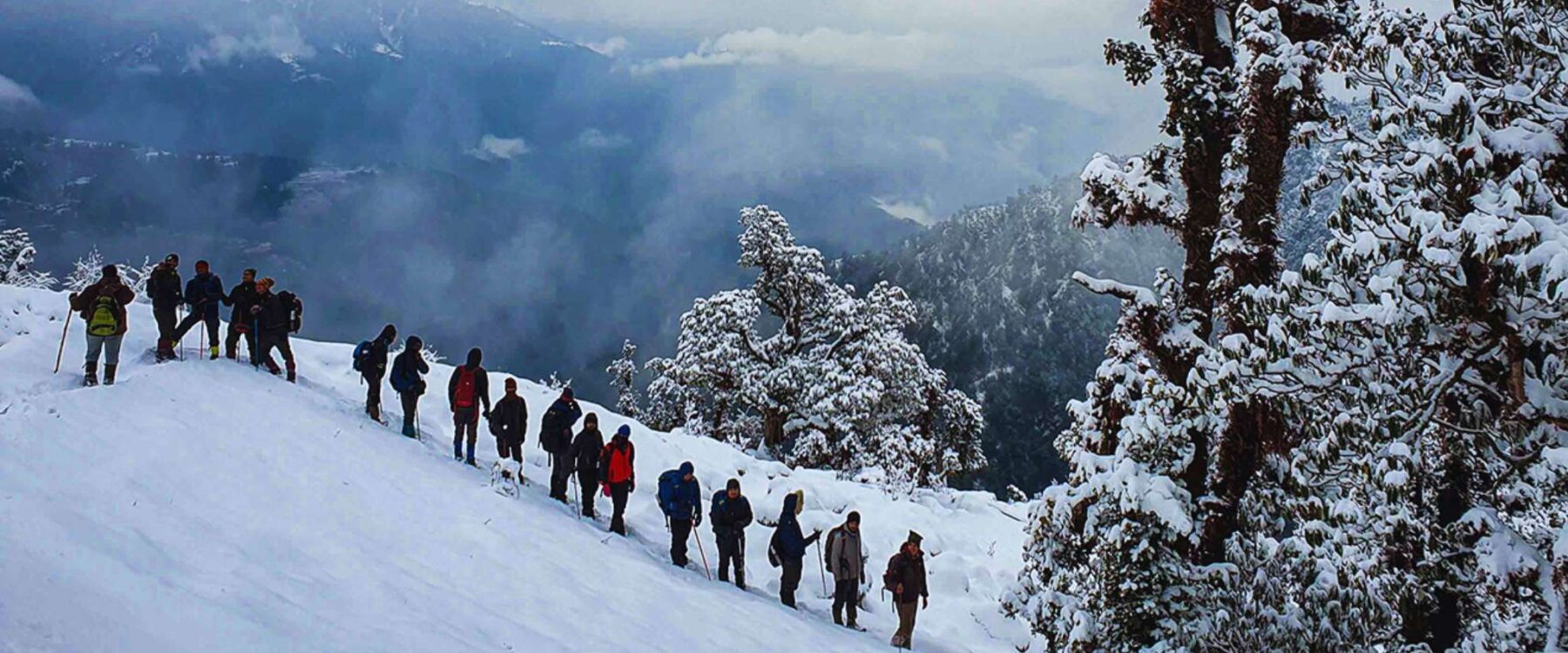 Top Reasons to Choose Brahmatal Trek for Your Next Adventure