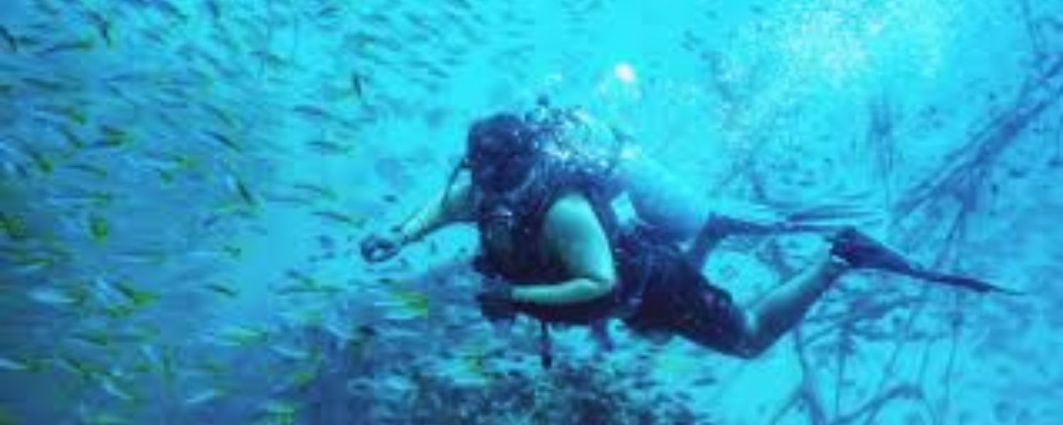 Scuba Diving in Pondicherry