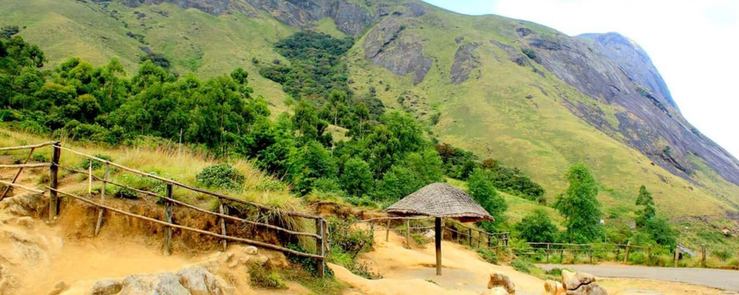 top places to visit in Munnar,
top 29 places to visit in Munnar,
best places to visit in Munnar with family,
tourist places to visit in Munnar,
places to visit in Munnar at night,