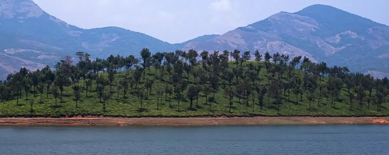 top places to visit in Munnar,
top 29 places to visit in Munnar,
best places to visit in Munnar with family,
tourist places to visit in Munnar,
places to visit in Munnar at night,