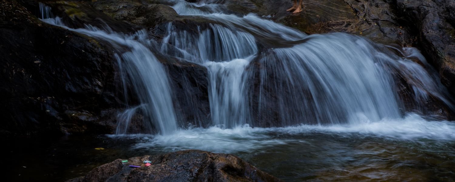 top places to visit in Munnar,
top 29 places to visit in Munnar,
best places to visit in Munnar with family,
tourist places to visit in Munnar,
places to visit in Munnar at night,