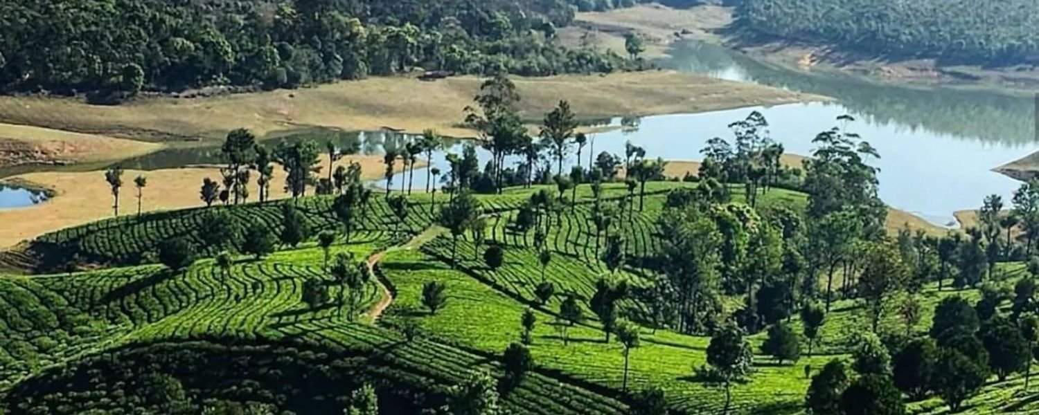 top places to visit in Munnar,
top 29 places to visit in Munnar,
best places to visit in Munnar with family,
tourist places to visit in Munnar,
places to visit in Munnar at night,