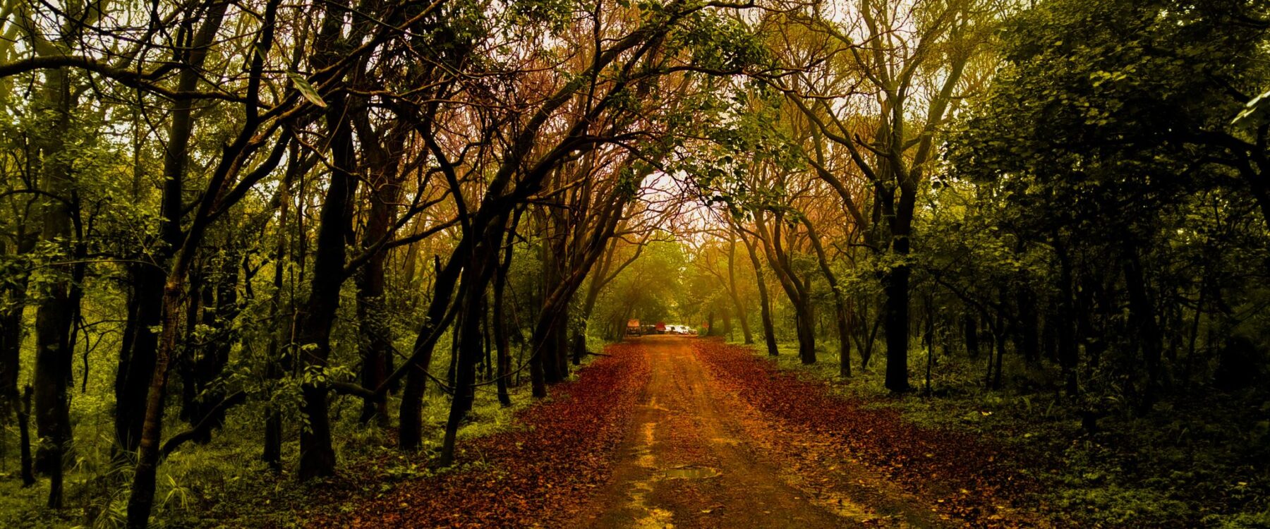 Experience the Charm of Unique Places to Visit in Pachmarhi