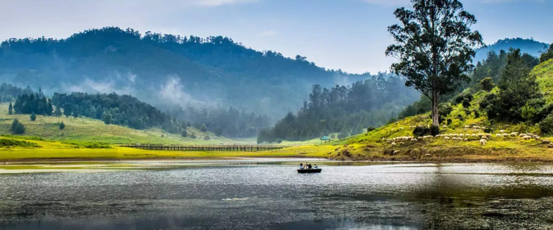 Must-See Places to Visit in Kodaikanal