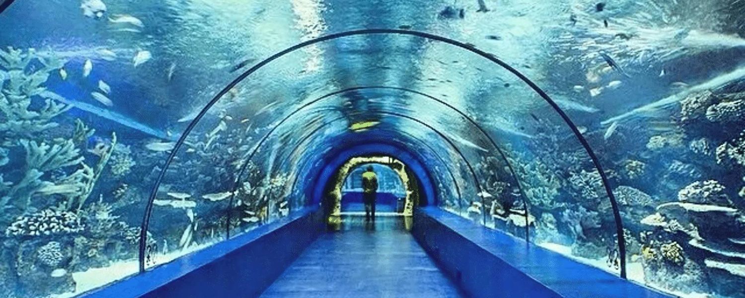 underwater aquarium in Delhi ticket price, underwater aquarium in Delhi Timings, underwater aquarium in Delhi Rohini, Best underwater aquarium in Delhi, 